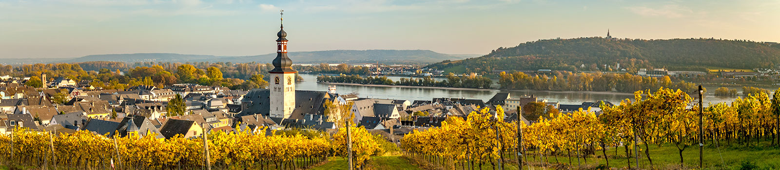 Günstige Privat-Unterkünfte für Übernachtung in Rüdesheim