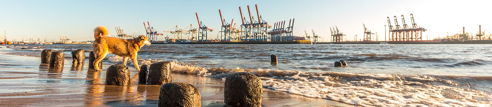 Günstige Privat-Unterkünfte für Übernachtung in Hamburg